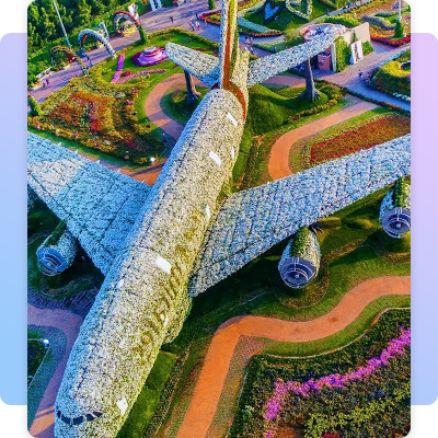 Miracle garden